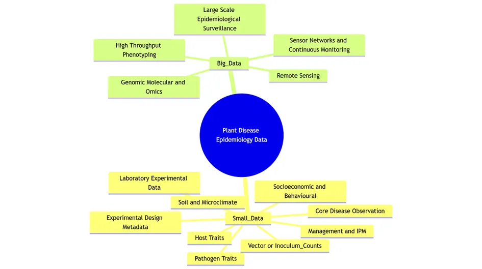 Big insights from small data in Plant Disease Epidemiology