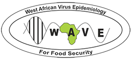 Central and West African Virus Epidemiology for food security (WAVE)